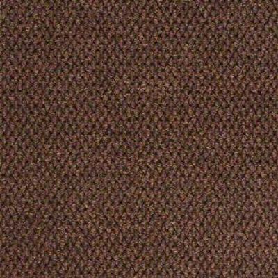 Shaw Carpet Tile Succession Bark Shaw Shaw 