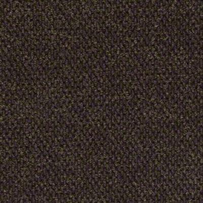 Shaw Carpet Tile Succession Pebble Shaw Shaw 