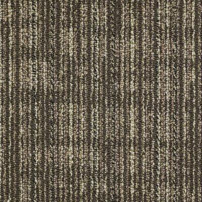 Shaw Carpet Tile Mesh Weave Barley