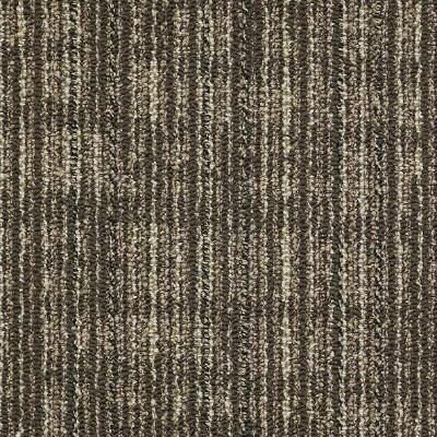Shaw Carpet Tile Mesh Weave Barley Shaw Shaw 