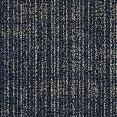 Shaw Carpet Tile Mesh Weave Lapis