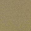 Shaw Carpet Tile Color Accents Pecan Shaw Shaw 