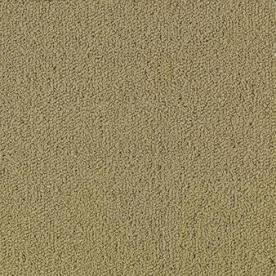 Shaw Carpet Tile Color Accents Pecan