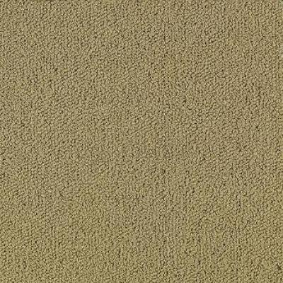 Shaw Carpet Tile Color Accents Pecan Shaw Shaw 