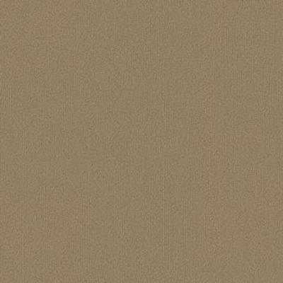 Shaw Carpet Tile Color Accents Glided Shaw Shaw 