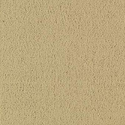 Shaw Carpet Tile Color Accents Flax Shaw Shaw 
