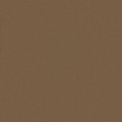 Shaw Carpet Tile Color Accents Tobacco Shaw Shaw 