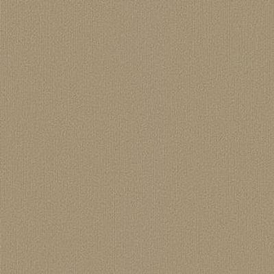 Shaw Carpet Tile Color Accents Autumn Gold Shaw Shaw 