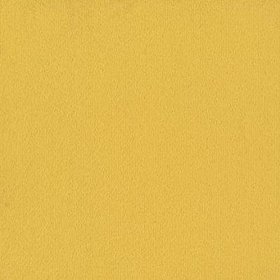 Shaw Carpet Tile Color Accents Citrus