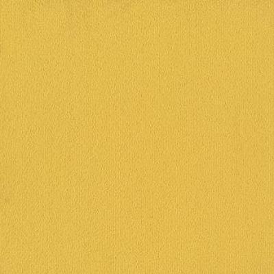 Shaw Carpet Tile Color Accents Citrus Shaw Shaw 