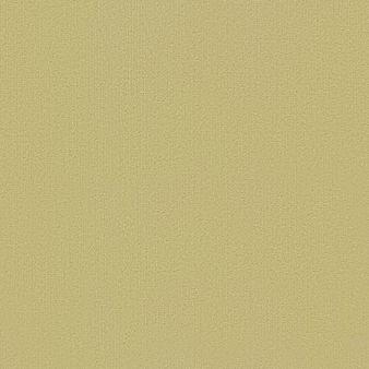 Shaw Carpet Tile Color Accents Glaze Shaw Shaw 