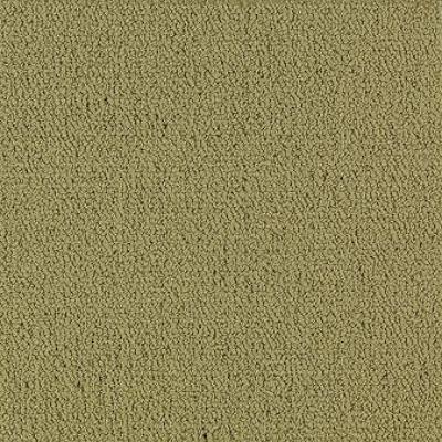 Shaw Carpet Tile Color Accents Herbal