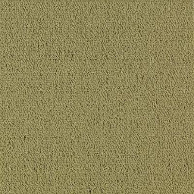 Shaw Carpet Tile Color Accents Herbal Shaw Shaw 
