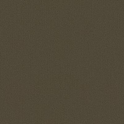Shaw Carpet Tile Color Accents Timber Shaw Shaw 