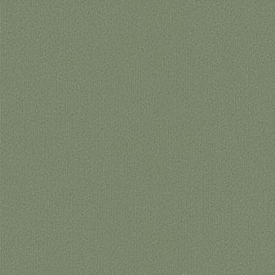 Shaw Carpet Tile Color Accents Foliage Shaw Shaw 