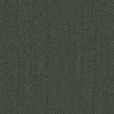 Shaw Carpet Tile Color Accents Cyprus Shaw Shaw 