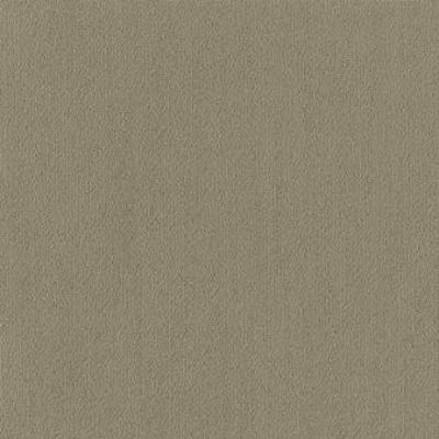 Shaw Carpet Tile Color Accents Sage