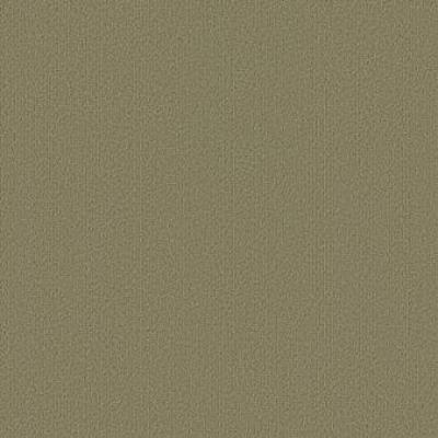 Shaw Carpet Tile Color Accents Glass Shaw Shaw 