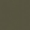 Shaw Carpet Tile Color Accents Ivy Shaw Shaw 