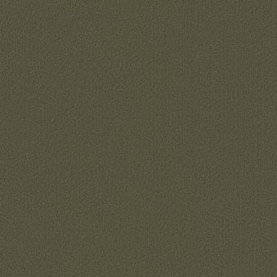 Shaw Carpet Tile Color Accents Ivy Shaw Shaw 