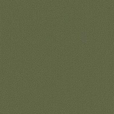 Shaw Carpet Tile Color Accents Cactus Shaw Shaw 