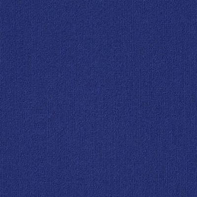 Shaw Carpet Tile Color Accents Electric Shaw Shaw 