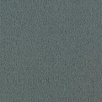 Shaw Carpet Tile Color Accents Nordic Shaw Shaw 