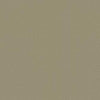 Shaw Carpet Tile Color Accents Lichen Shaw Shaw 