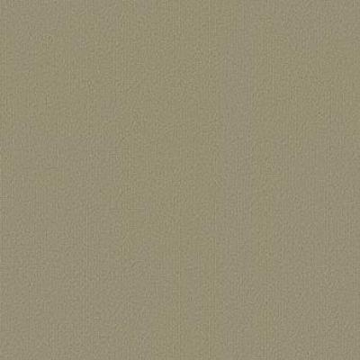 Shaw Carpet Tile Color Accents Lichen Shaw Shaw 