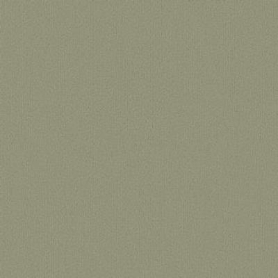 Shaw Carpet Tile Color Accents Fescue Shaw Shaw 