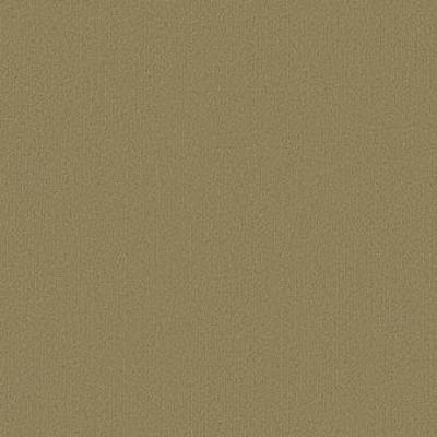 Shaw Carpet Tile Color Accents Aloe Shaw Shaw 