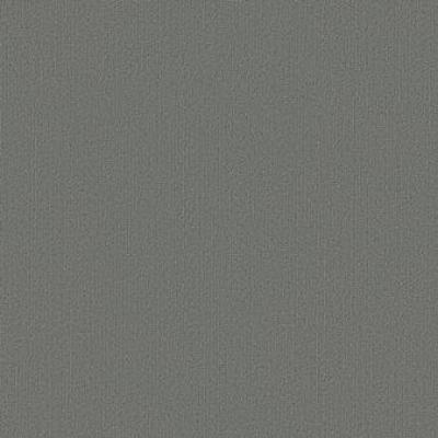 Shaw Carpet Tile Color Accents Flannel Shaw Shaw 