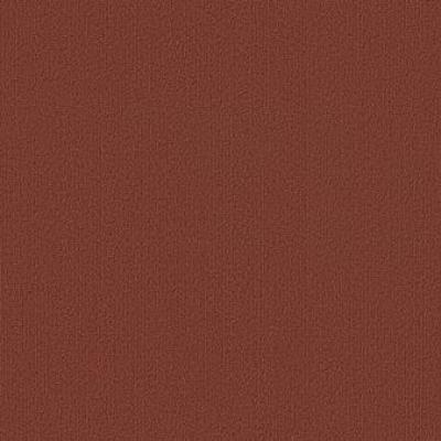 Shaw Carpet Tile Color Accents Russet