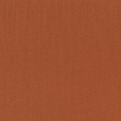 Shaw Carpet Tile Color Accents Paprika