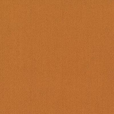 Shaw Carpet Tile Color Accents Orange Shaw Shaw 