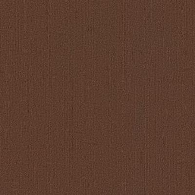 Shaw Carpet Tile Color Accents Chocolate