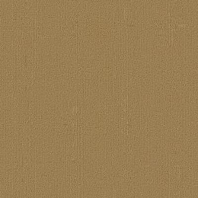 Shaw Carpet Tile Color Accents Brasserie Shaw Shaw 