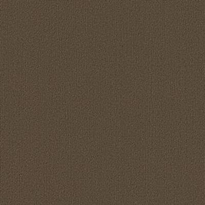Shaw Carpet Tile Color Accents Suede Shaw Shaw 