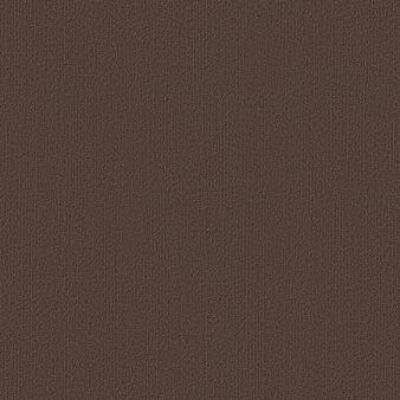 Shaw Carpet Tile Color Accents Coffee Shaw Shaw 