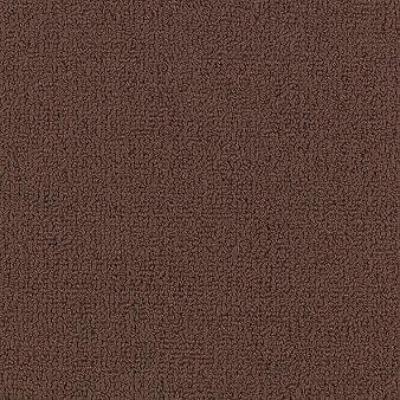 Shaw Carpet Tile Color Accents Mahogany