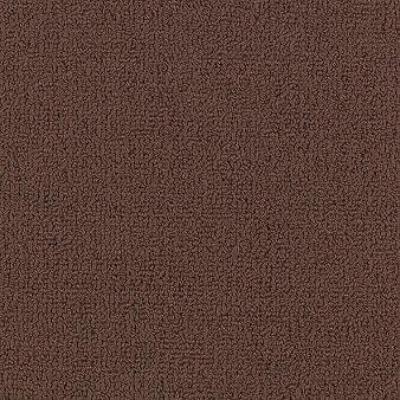 Shaw Carpet Tile Color Accents Mahogany Shaw Shaw 