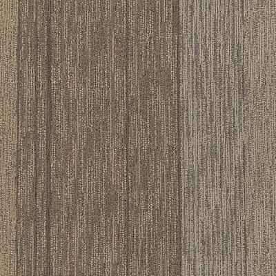 Shaw Carpet Tile Unscripted Quick Comment Shaw Shaw 