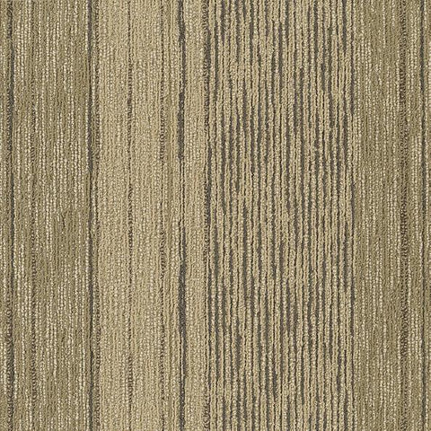 Shaw Carpet Tile Unscripted Improvisation Shaw Shaw 