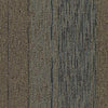 Shaw Carpet Tile Unscripted Talk Show Shaw Shaw 