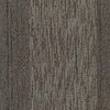 Shaw Carpet Tile Unscripted Stand Up Comedy Shaw Shaw 