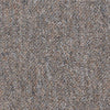 Shaw Carpet Tile Capital III Electoral Vote Shaw Shaw 