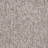 Shaw Carpet Tile Sound Advice Tile Have Faith Shaw Shaw 