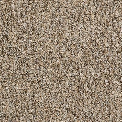 Shaw Carpet Tile Sound Advice Tile Make It Work Shaw Shaw 