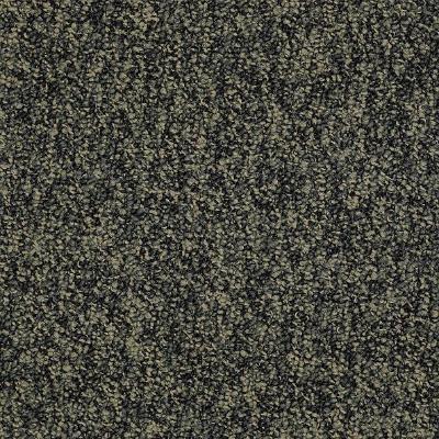 Shaw Carpet Tile Sound Advice Tile Hold The Line Shaw Shaw 