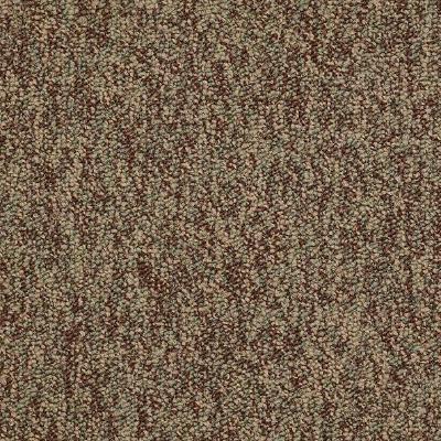 Shaw Carpet Tile Sound Advice Tile Do The Work Shaw Shaw 